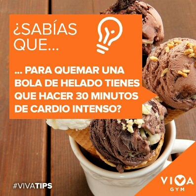 Viva Gym